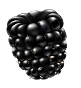 Negro bombona