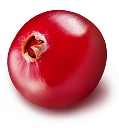 Negro bombona