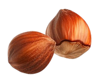 Negro bombona