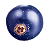 Negro bombona