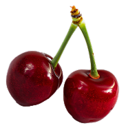 Negro bombona