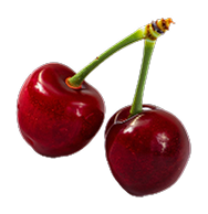 Negro bombona