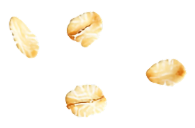 Negro bombona